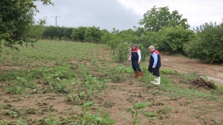 Bilecik’te aşırı yağıştan etkilenen arazilerde hasar tespitine başlandı