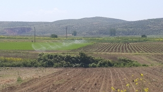 DSİ, Bursa’nın ekonomisine tarımsal sulama ile katkı sağlıyor