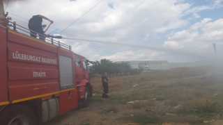 Kırklareli’nde otluk alanda çıkan yangın söndürüldü