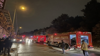 Kartal’da çıkan orman yangını söndürüldü