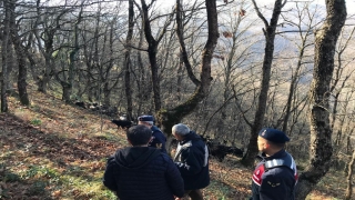 Gemlik’te ormanda kaybolan küçükbaş sürüsünü jandarma buldu