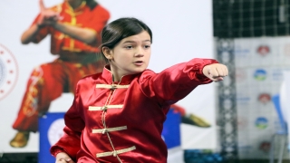 .Geleneksel Wushu Kung Fu Türkiye Şampiyonası Sakarya’da tamamlandı