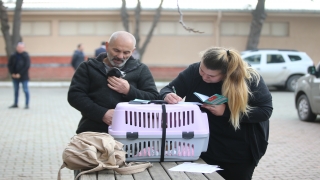 Kırklareli’nde 6 bin 875 evcil hayvan kayıt altına alındı