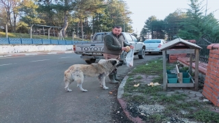 Kırklareli’nden kısa kısa