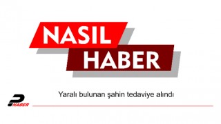 Yaralı bulunan şahin tedaviye alındı