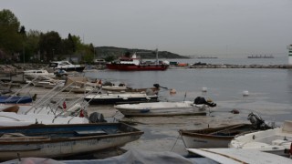 İzmit Körfezi’nde görülen deniz salyası etkisini sürdürüyor