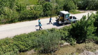 Sakarya Büyükşehir, zararlılarla mücadele çalışmalarını sürdürüyor