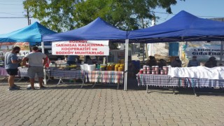 Çanakkale’de Bozköy Gıda Fuarı açıldı