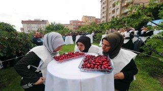 Bağcılar’da geleneksel ”Kiraz Festivali” düzenlendi