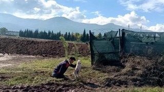 Kocaeli’de çukura düşen yavru köpeği belediye ekipleri kurtardı