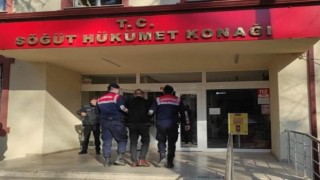 Bilecik’te küçükbaş hayvan dolandırıcılığı operasyonunda 1 kişi gözaltına alındı