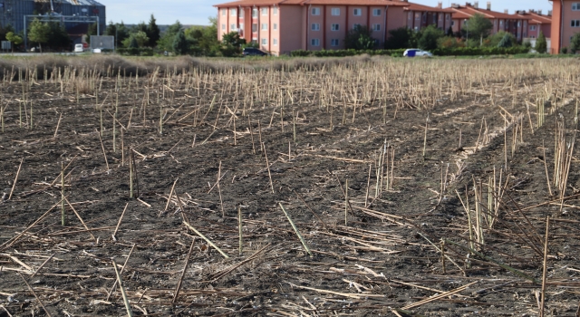 Hayrabolu’da ayçiçeği sapları hasat sonrasında evleri ısıtıyor