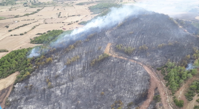 GÜNCELLEME Çanakkale’de çıkan orman yangını kontrol altına alındı