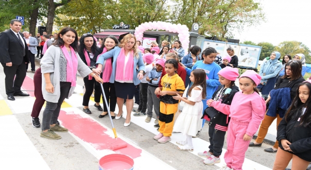 Edirne’de meme kanserine dikkat çekmek için yaya geçidi pembeye boyandı