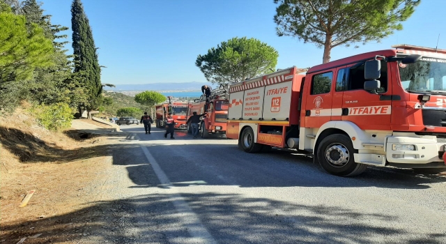 Balıkesir’de zeytinlik alanda çıkan yangın söndürüldü