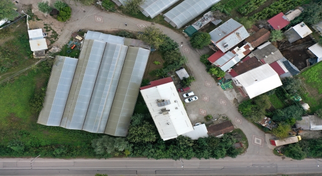 Kocaeli’de ”kasiyersiz” serada alışveriş karşılıklı güvenle yapılıyor