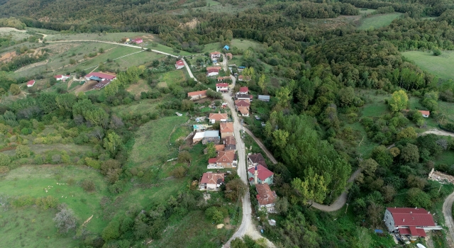 Deniz, doğa ve tarihin bütünleştiği kent: Kırklareli