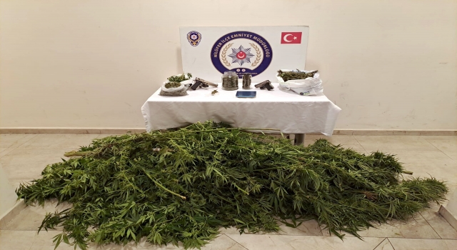 Bursa’da evlerinin bahçesinde uyuşturucu yetiştiren iki şüpheli yakalandı