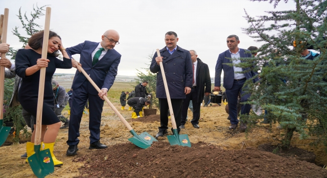 İstanbul Havalimanı’nda düzenlenen etkinlikte 2 bin 50 fidan dikildi