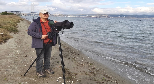 Yalova’daki Hersek Lagünü’nde kuş türü 249’a yükseldi