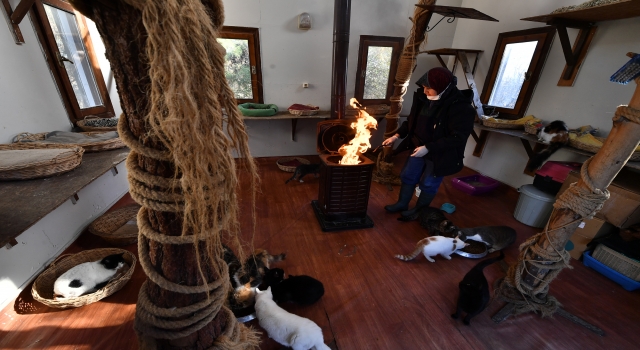 Bursa’daki kedi villalarında sobalar yanmaya başladı