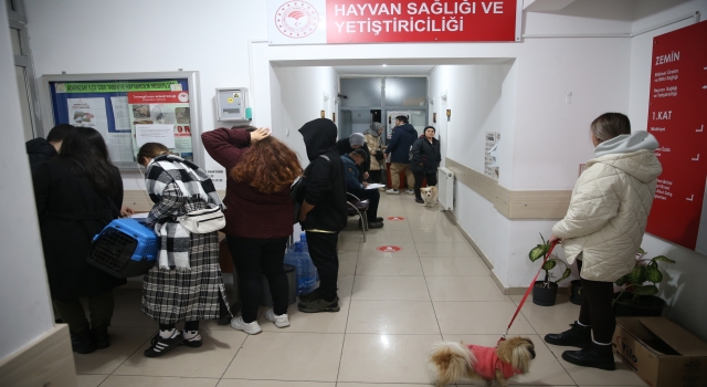 Sakarya’da 21 bin evcil hayvan kayıt altına alındı