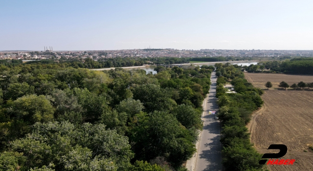 Asırlık ağaçların gölgesindeki "antik yolun" tescili turizmde hareketlilik beklentisi doğurdu