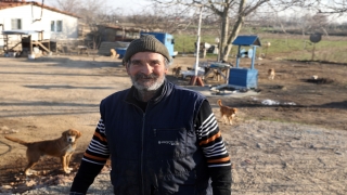 Emekli postacı salgın döneminde bahçesini açtığı sokak hayvanlarını yalnız bırakmadı