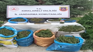 Kırklareli’nde uyuşturucu operasyonunda 2 şüpheli tutuklandı