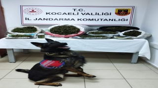 Kocaeli’de uyuşturucu operasyonunda 1 kişi gözaltına alındı