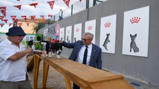 Edirne’de can dostlar için kurulan park açıldı