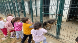 Osmaneli’de miniklerden hayvan barınağına ziyaret