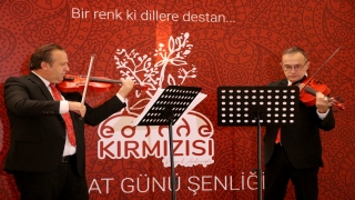 Doğduğu topraklara yeniden kazandırılan ”efsane renk” akademik çalışmalarla canlanıyor