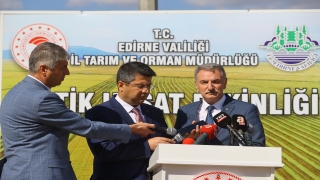Bakan Kirişci, çeltik alım fiyatlarının ton başına 1000 lira artırıldığını açıkladı: