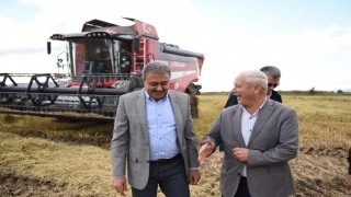Balıkesir Valisi Şıldak çeltik hasadına katıldı