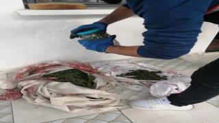 Sakarya’da uyuşturucu operasyonunda 11 kilogram esrar ele geçirildi
