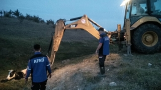 Kırklareli’nde çamura saplanan ineği AFAD ekipleri kurtardı