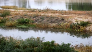 Edirneliler Tunca Nehri’nin ardından Meriç’in de kum adacıklarından temizlenmesini istedi
