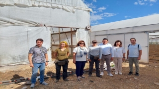 TARSİM heyeti Antalya’daki ekspertiz çalışmalarına katıldı 