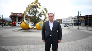 Coğrafi işaretli ”Geyve ayvası” yurt dışından da alıcı buluyor
