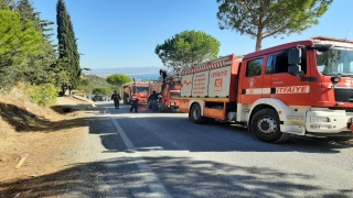 Balıkesir’de zeytinlik alanda çıkan yangın söndürüldü