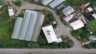 Kocaeli’de ”kasiyersiz” serada alışveriş karşılıklı güvenle yapılıyor