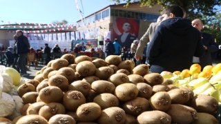 Yalova’da 9. Subaşı Kivi Festivali başladı