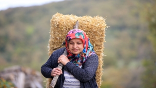 Şehirden köye dönen kadınlar, Istranca Dağları’nın eteğinde mutlu yaşam sürüyor