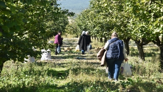 Bilecik’e ekoturizm etkinliğiyle gelenler hasat etkinliğine katıldı