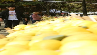 Kartepe’de ”Eşme Ayva Festivali” düzenlendi