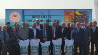 Mudanya’da çiftçilere 40 ton buğday tohumu dağıtılıyor