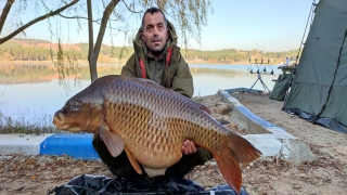 Bilecik’teki Pelitözü Göleti’nde oltayla 30 kilogramlık sazan avladı