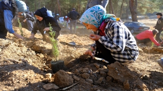 Orhaneli’de Milli Ağaçlandırma Günü’nde 1111 fidan toprakla buluşturuldu