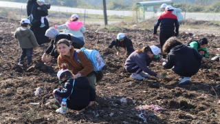 Sakarya, Bolu, Karabük ve Bartın’da fidanlar toprakla buluşturuldu